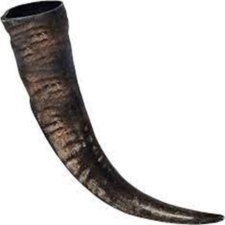 drinkinghorn05